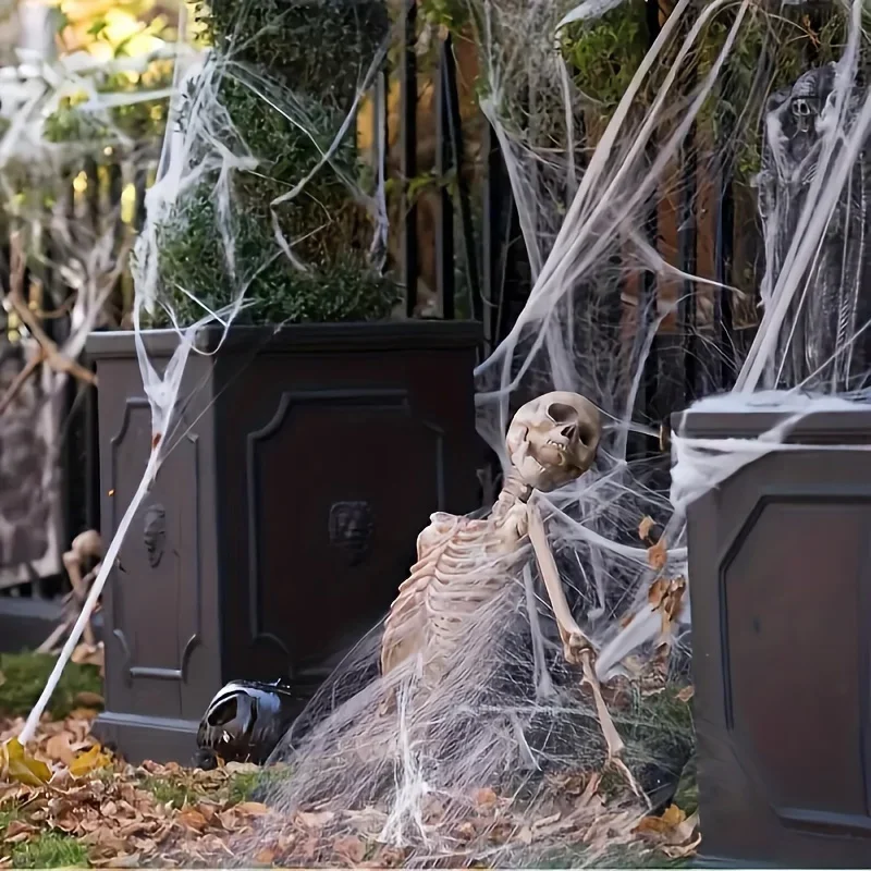 Rekbare spinnenwebben met 2 sp - Spider Web Halloween Decoration recensie en prijs